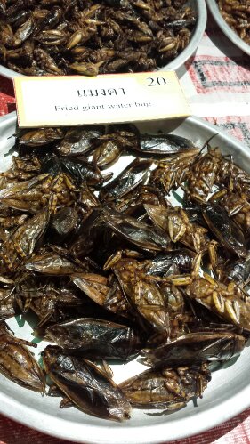 20130630_101950.jpg image