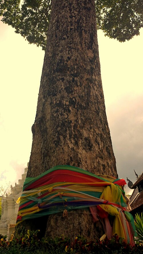 hdr_1372583257481.jpg image