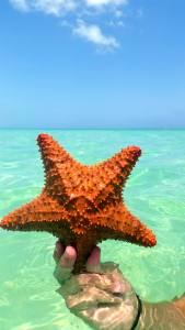 10636776_10104354761789312_6740693685877739542_o