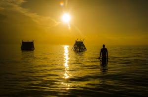 11110056_10104354805965782_4140106483642423384_o (1)