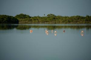 11143346_10104354806873962_8664111988939432538_o