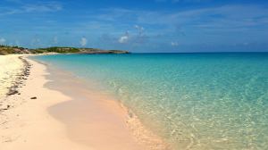 11230230_10104354758490922_5522147092131262437_o (1)