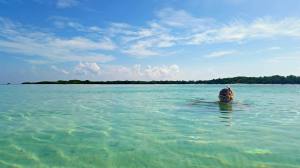 11537922_10104354754449022_8062391496960645863_o (1)