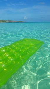 11722319_10104354763146592_986372572727508747_o