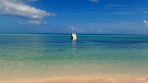 11722558_10104354766604662_4408260959300357246_o (1)