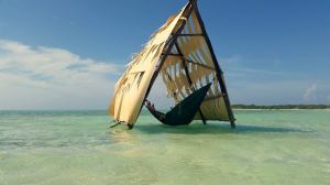 11731587_10104354765382112_1732820538430971901_o