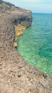 11779784_10104354759838222_8416466599259667605_o