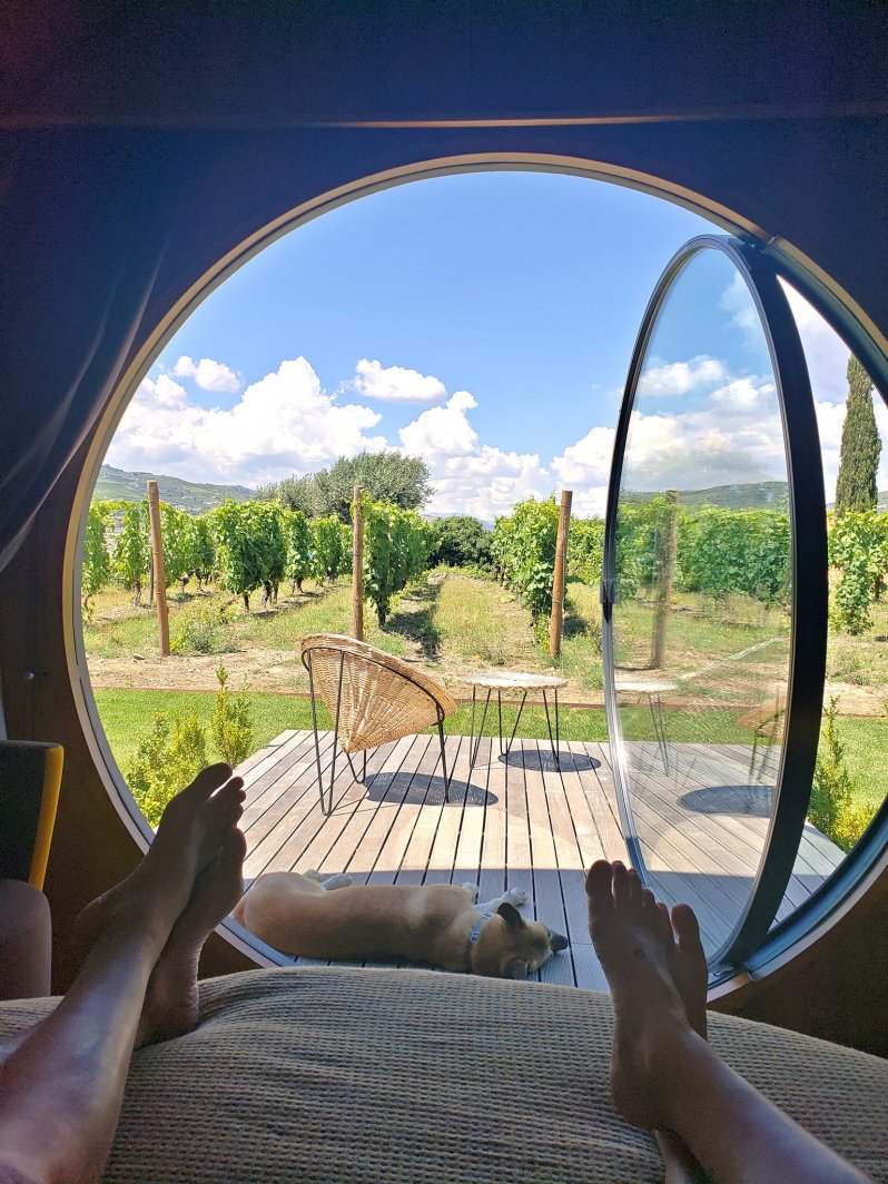 36933738_10108284403695432_370965512290566144_o