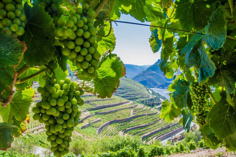 37187505_10108290202070442_1046605469004595200_o