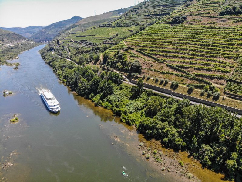 39057067_10108386488566532_7143242233494372352_o