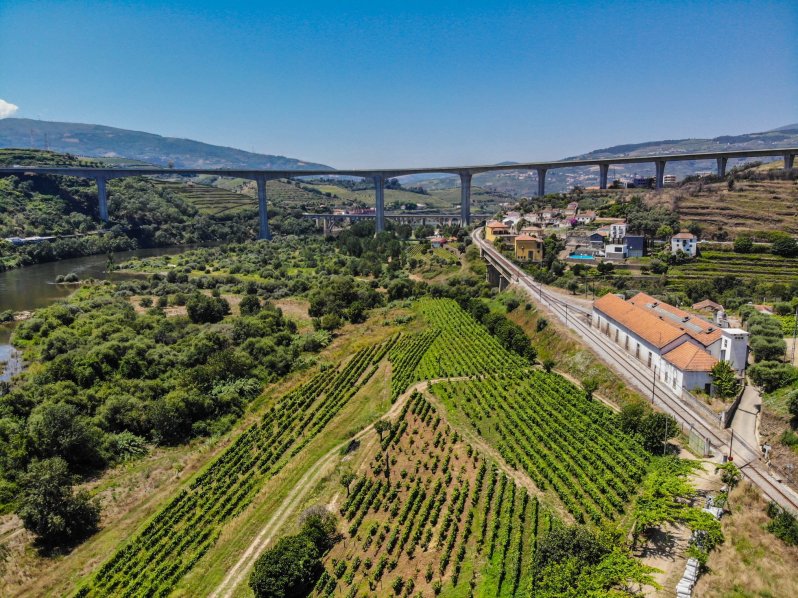 39094253_10108386488556552_5072827324034973696_o